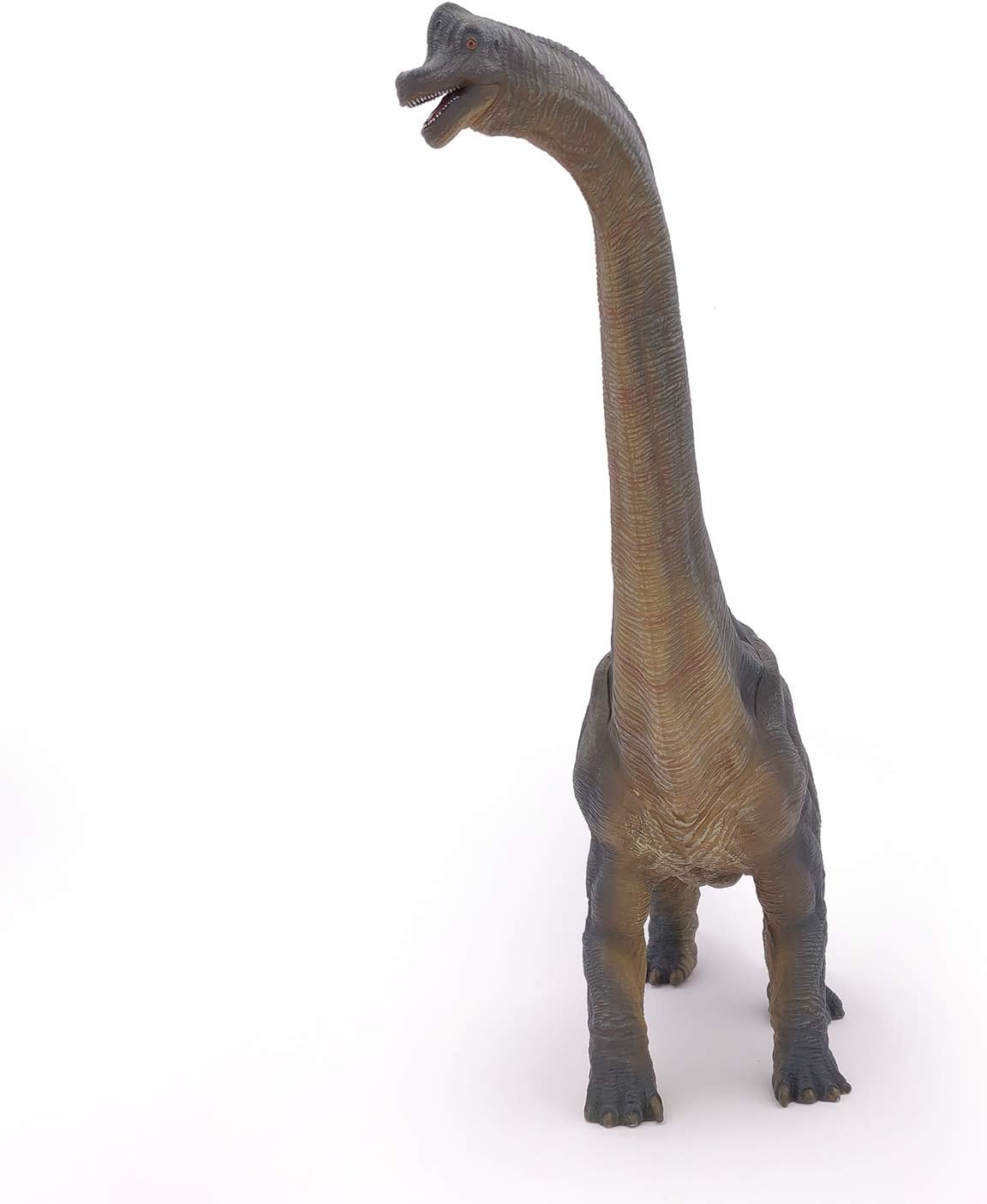 Detalle de Papo 55030 Figura branquiosauro