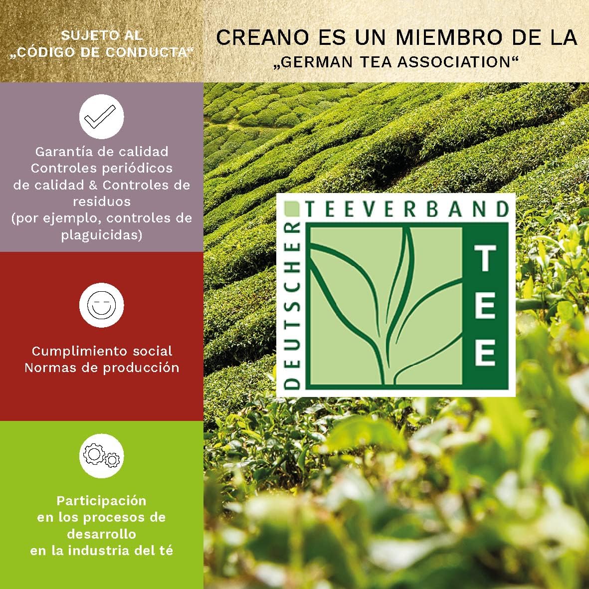Detalle 2 de Creano 6 Flores de Té 🍵 Caja Magnética con Relieve Plata