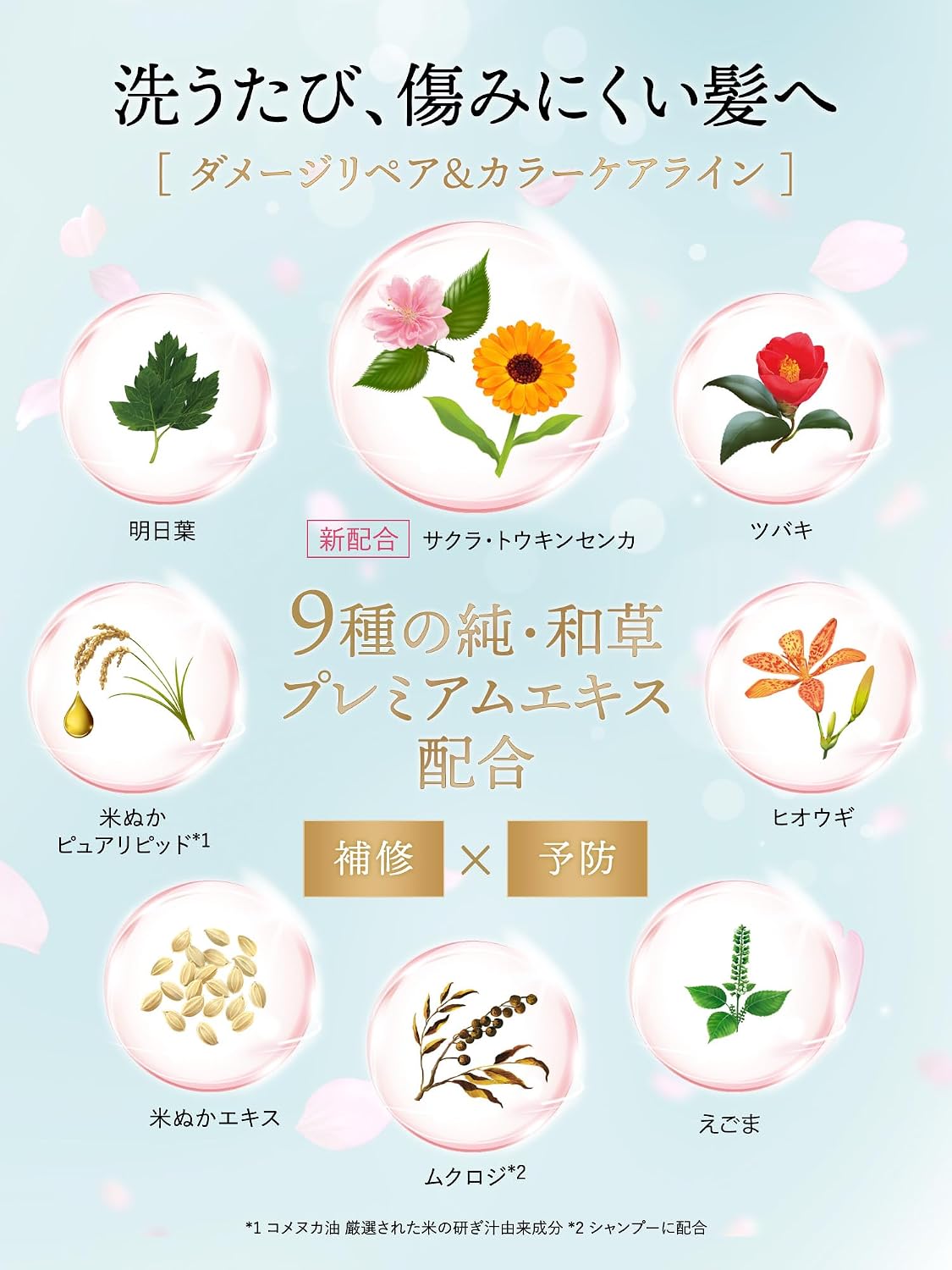 Thumbnail 2 de いち髪 ダメージリペア＆カラーケア シャンプー・コンディショナーセット 450ml/450g