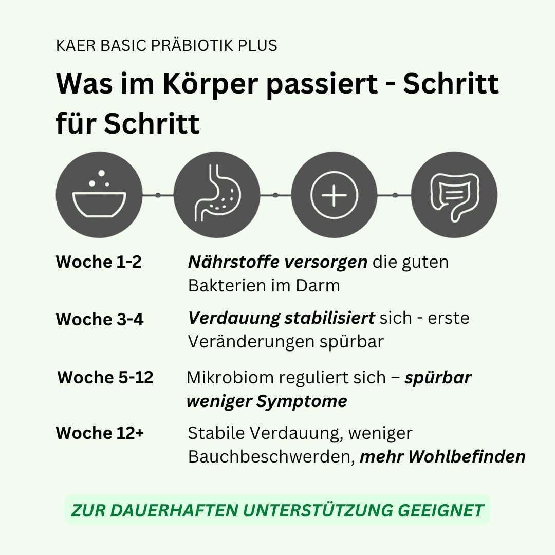 Detalle de kaer basic Präbiotik Plus Pulver für Hunde (2×200 g) – Probiotika-Unterstützung für die Darmflora