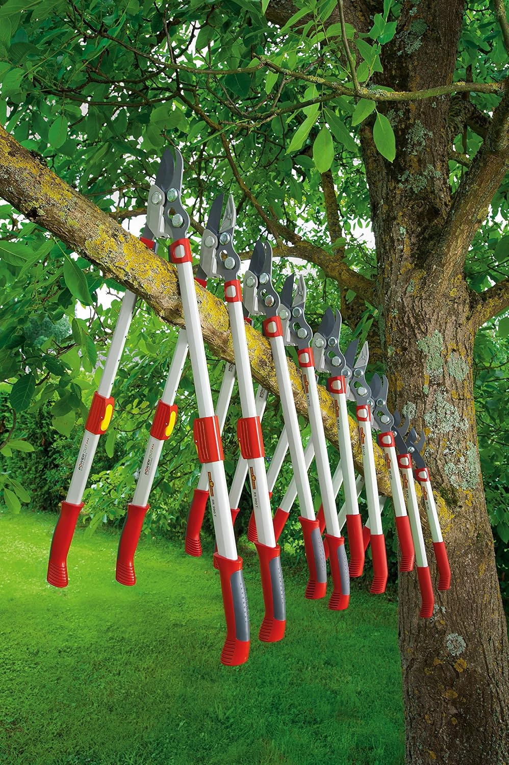 Detalle 2 de WOLF Garten Comfort Plus nożyce do gałęzi kowadełkowe, 750 mm