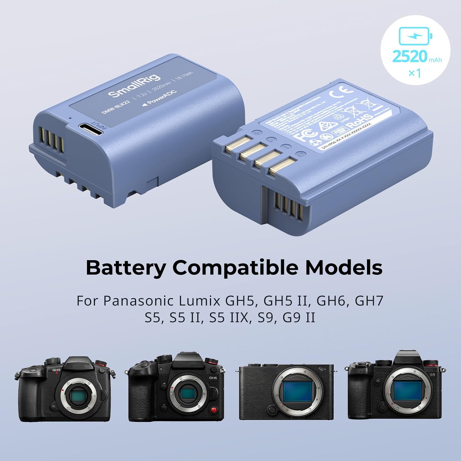 Detalle 2 de SMALLRIG DMW-BLK22 Akku 2520mAh