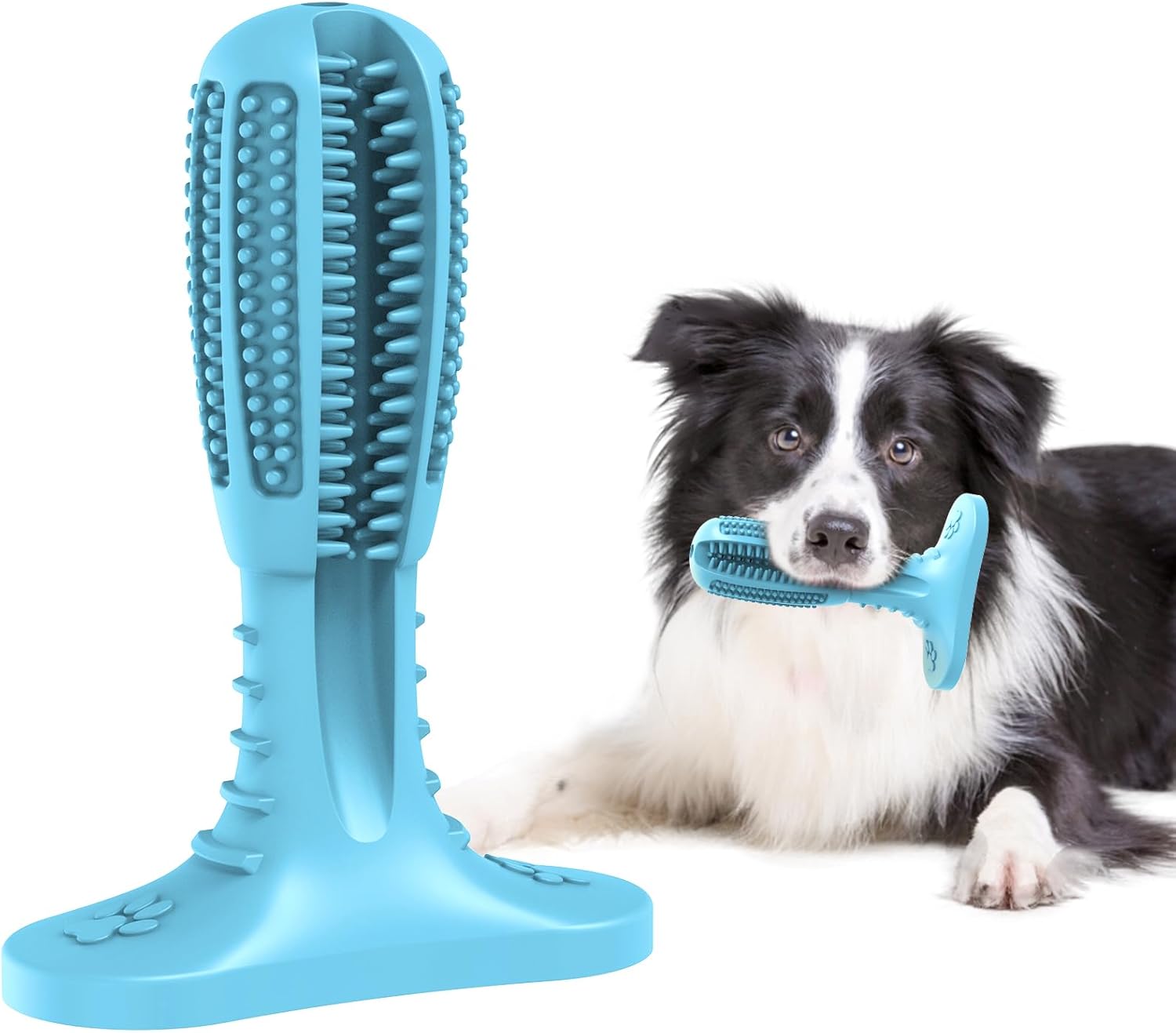 Thumbnail 6 de HETOO Kauspielzeug für Welpen und mittelgroße Hunde – Naturkautschuk Zähne-Reiniger, blaue Schleifstange