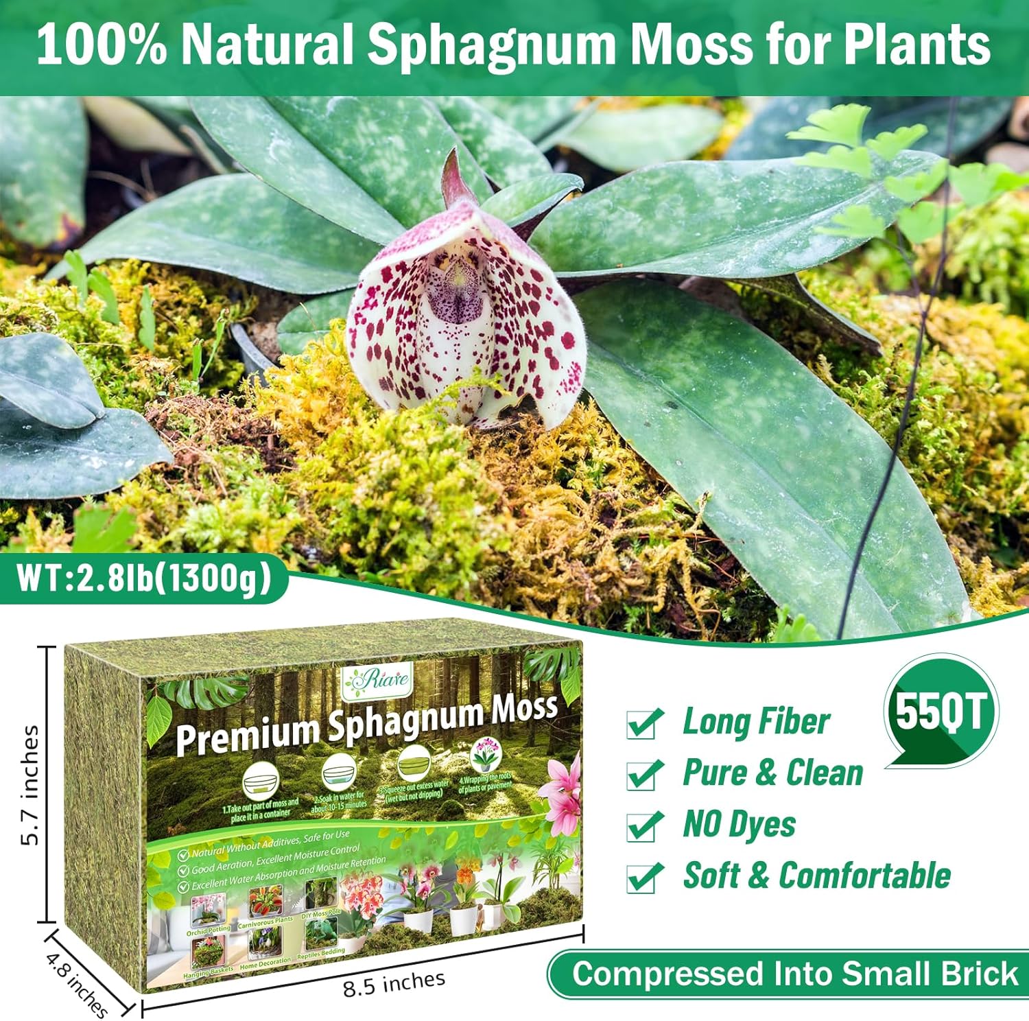 Thumbnail 1 de Riare 1.3kg Natural Dried Plant Moss (Sphagnum) for Repotting, Succulents, Aquariums & DIY