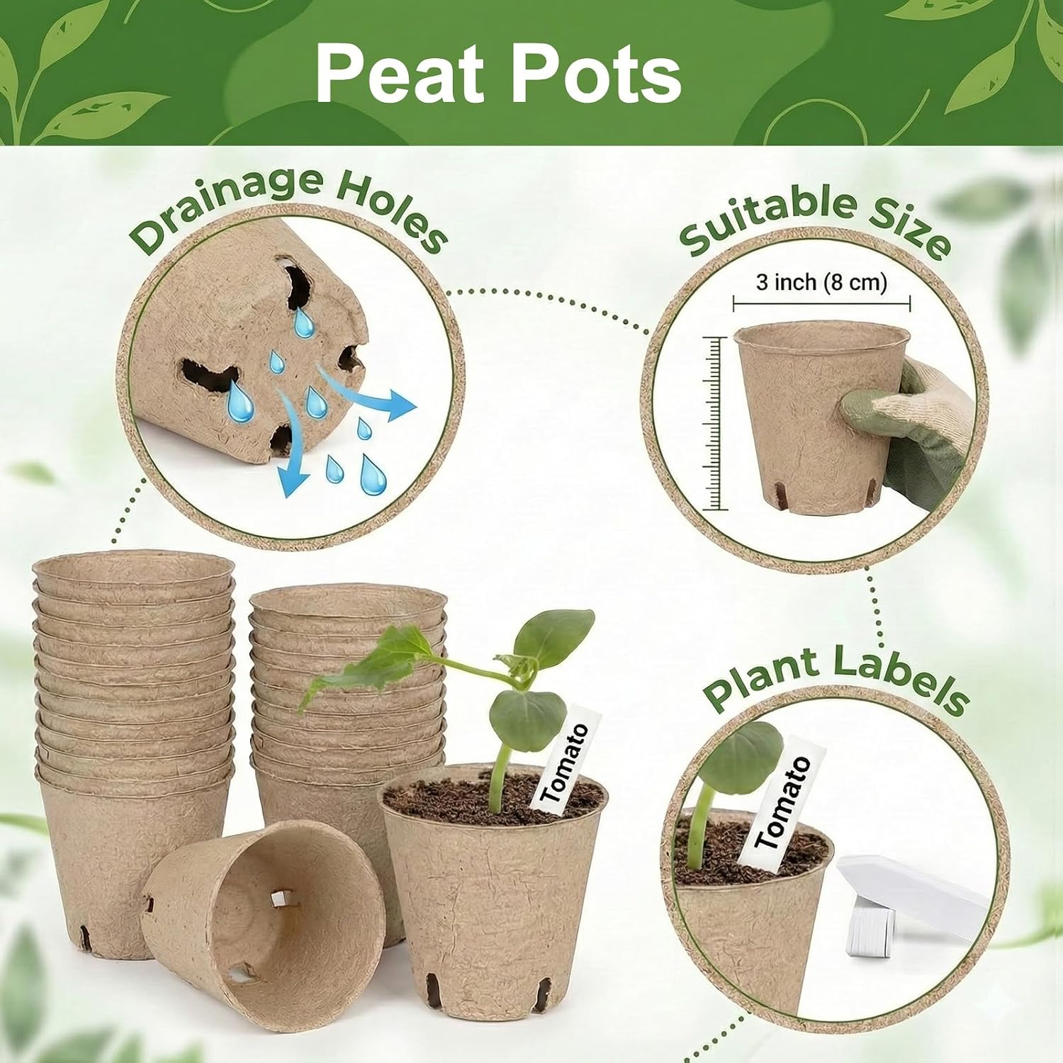 Detalle de Peat Pots Seedling Trays with 24 Labels
