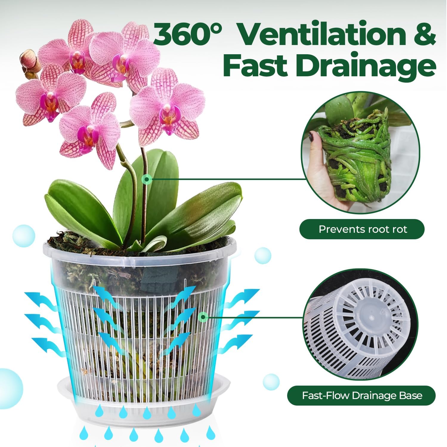 Thumbnail 2 de T4U Orchid Pot 6-Pack (16cm) with Holes and Matching Saucers for Indoor/Outdoor Repotting