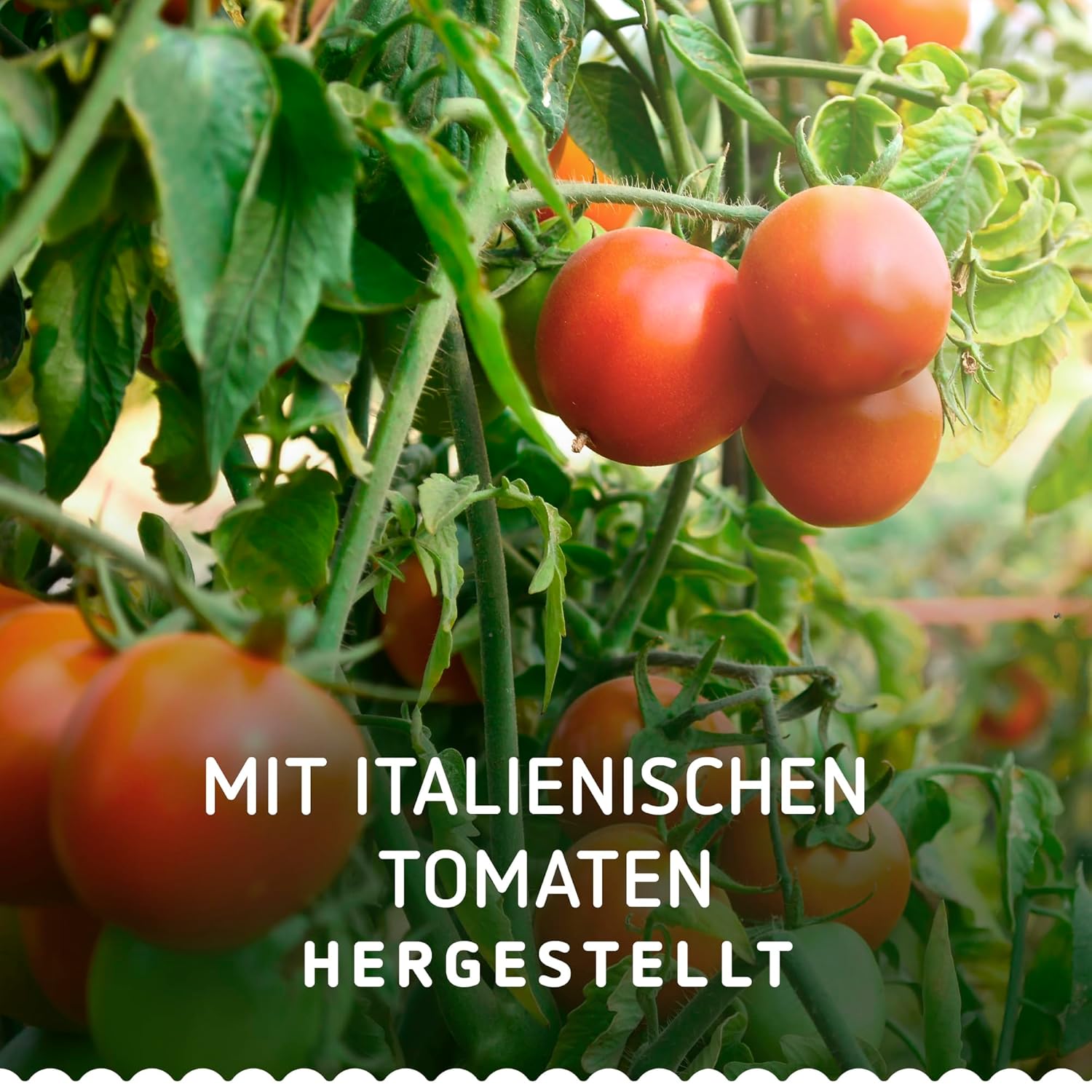 Thumbnail 6 de Barilla Pesto Rosso glutenfrei – 12x200 g