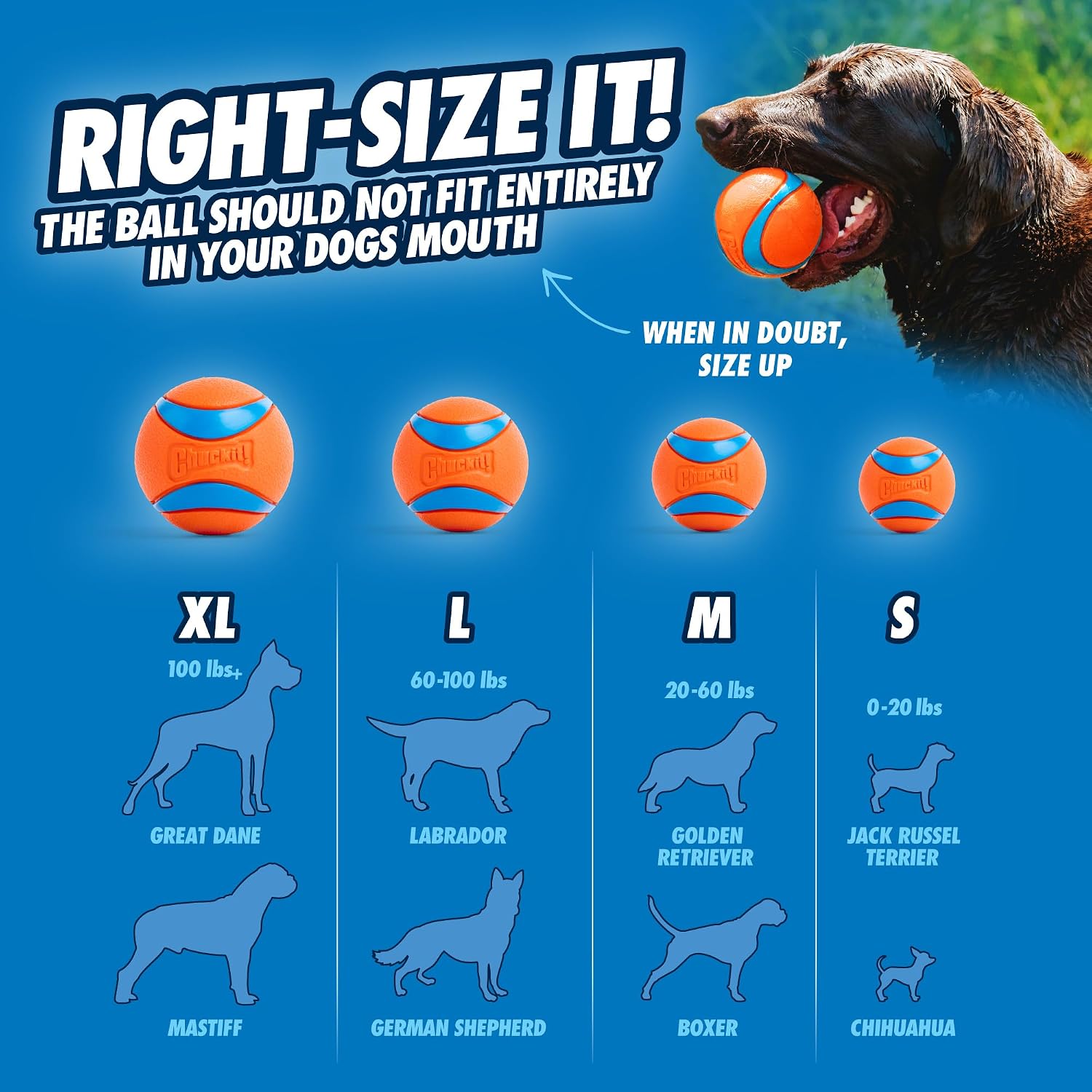 Detalle de Chuckit! Fetch Medley Gen 3 Medium Dog Balls – Durable, Lightweight Rubber Balls (Pack of 3, 6.5 cm) for Launcher Play