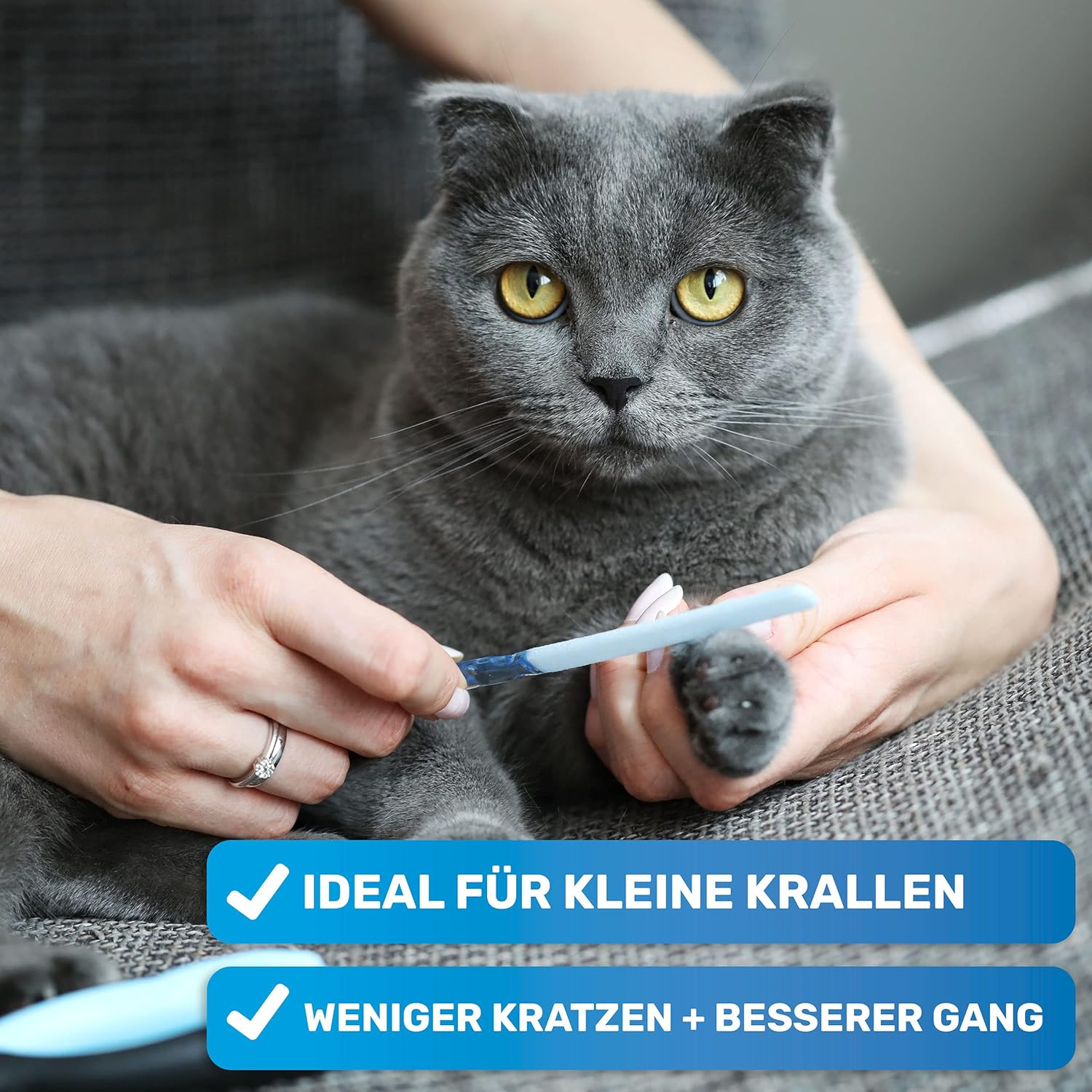 Detalle de BluePet Kleine Krallenschere für kleine Hunde, Katzen & Kleintiere – Angewinkelter Schneidekopf, Ergonomisch & inklusive Krallenfeile