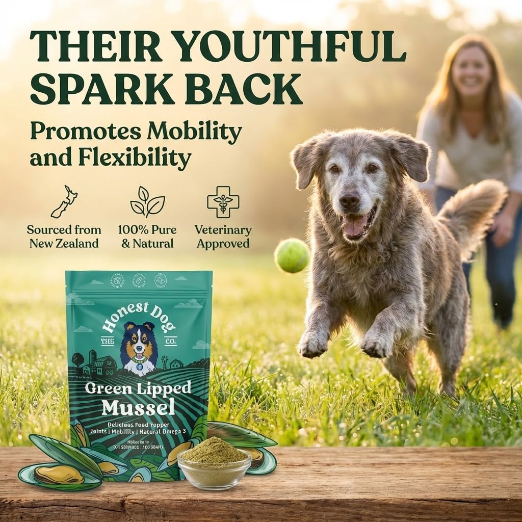 Thumbnail 1 de Green Lipped Mussel for Dogs | 100% Pure New Zealand Powder by The Honest Dog Co