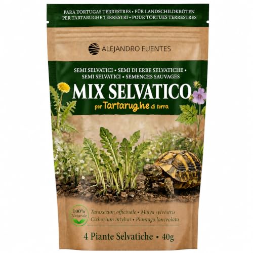 Detalle de AF® Mix Semi per Tartarughe di Terra – Formulazione Lenta 40g | Tarassaco, Malva, Piantaggine | Erbe Selvatiche per Testudo Hermanni e Graeca