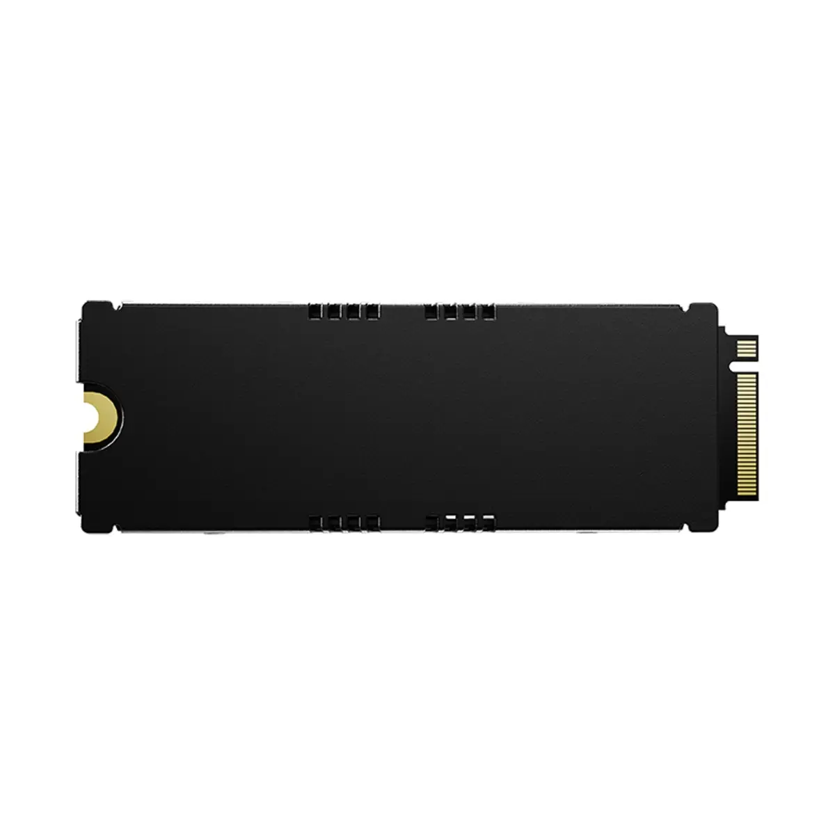 Detalle de Predator GM9000 Heatsink SSD - 4TB