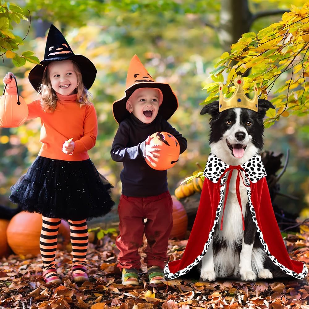 Detalle de Vellibring VB-US-HA326M1P1 Dog King Costume with Adjustable Cape and Crown