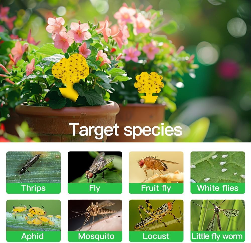 Detalle de Cleanuper 58 Sticky Plant Traps, Yellow Double-Sided, Flower and Cloud Shapes