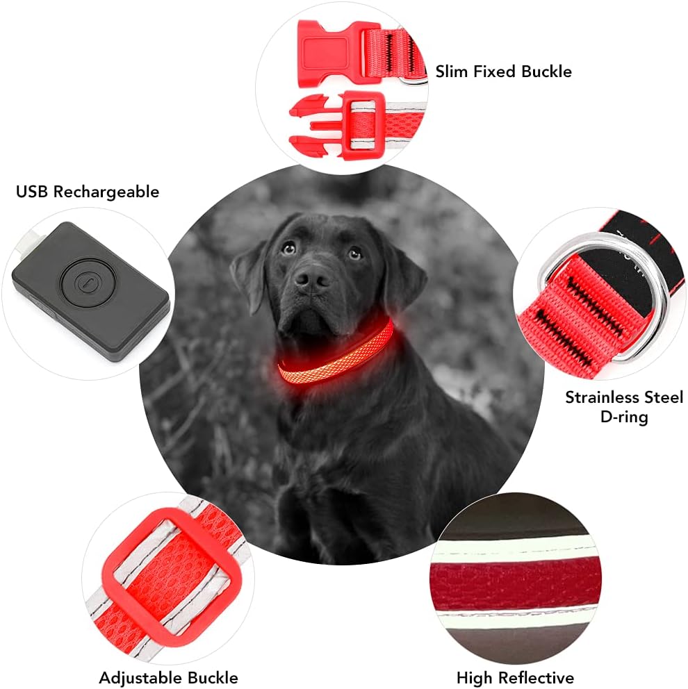 Detalle 2 de YFbrite Light up Dog Collar 8h battery