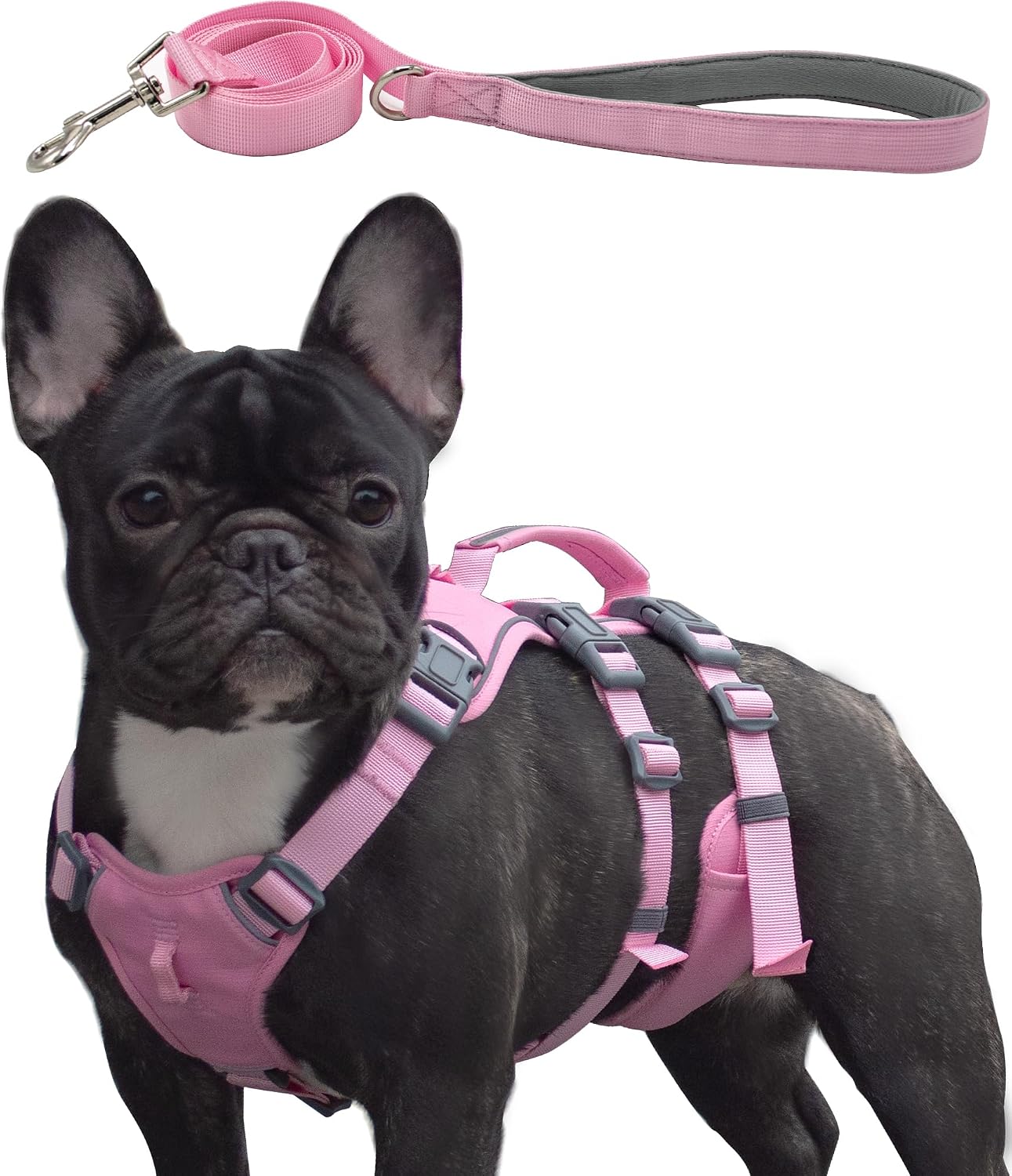 Detalle de Wuffley Escape Proof Dog Harness and Leash Set