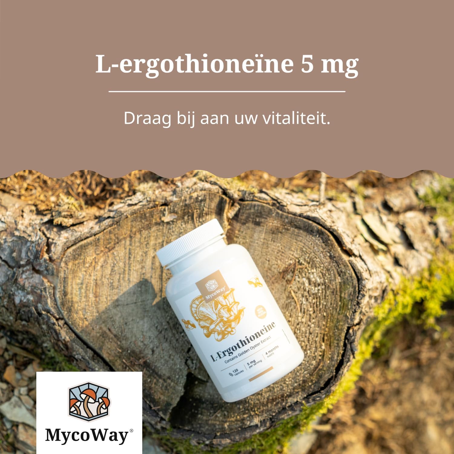 Detalle de MycoWay L-ergothioneïne 5 mg capsules met gele-oesterzwamextract, 120 stuks