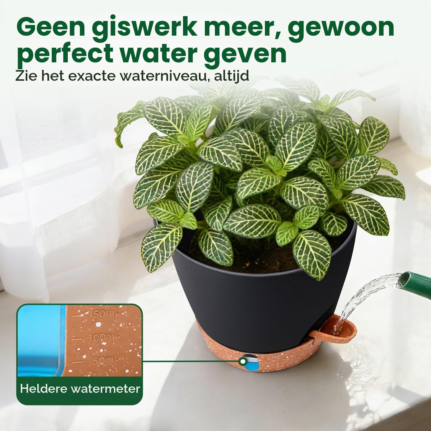 Thumbnail 6 de T4U PG3084 zelfbewaterende bloempotten, 20 cm, zwart, set van 2