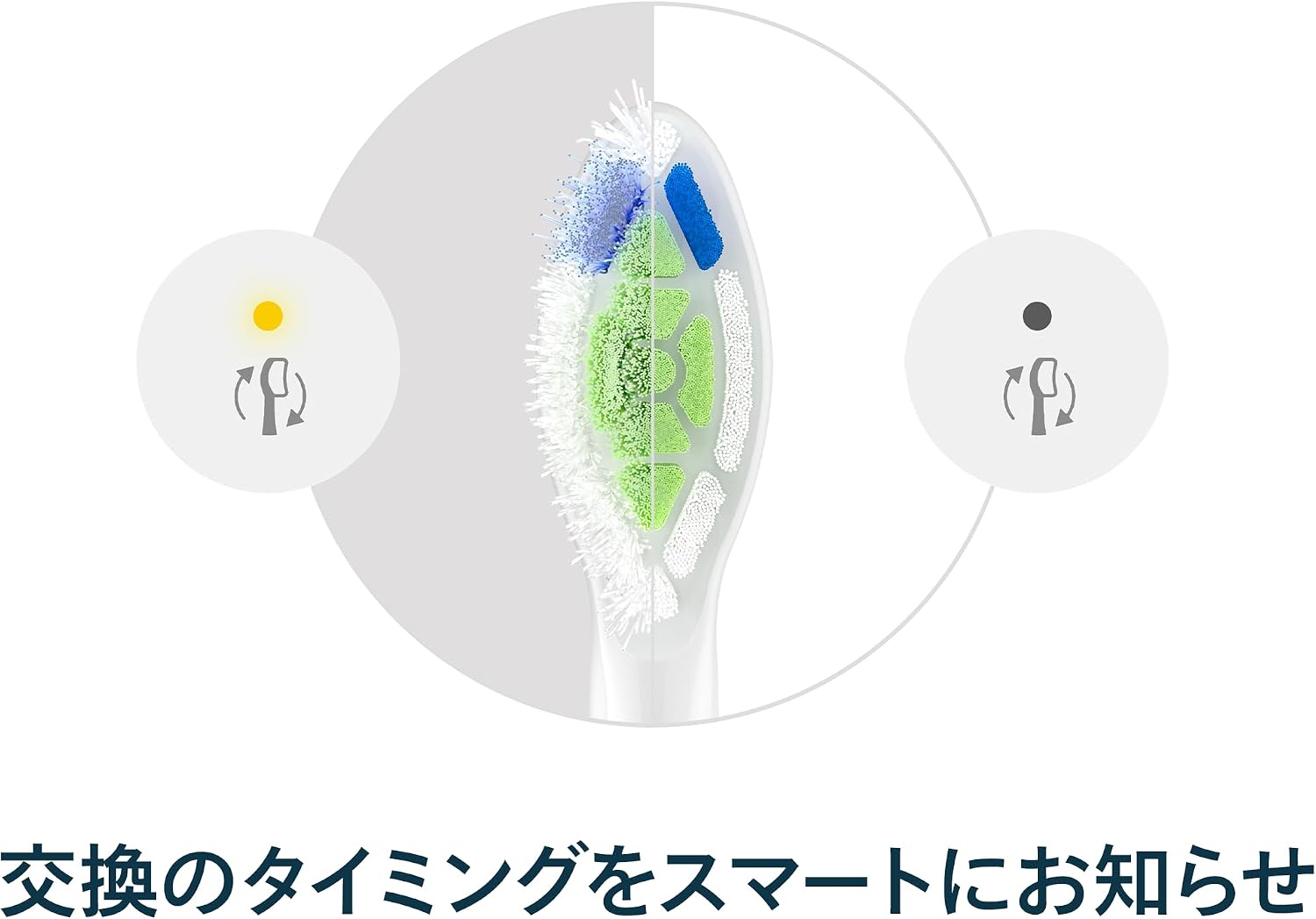 Thumbnail 6 de フィリップス ソニッケアー W2 ホワイトプラス HX6066/14 替えブラシ レギュラー6本