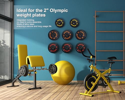 Detalle 2 de Lot de 4 supports MIUONO pour disques olympiques, 5,1 cm ⚙