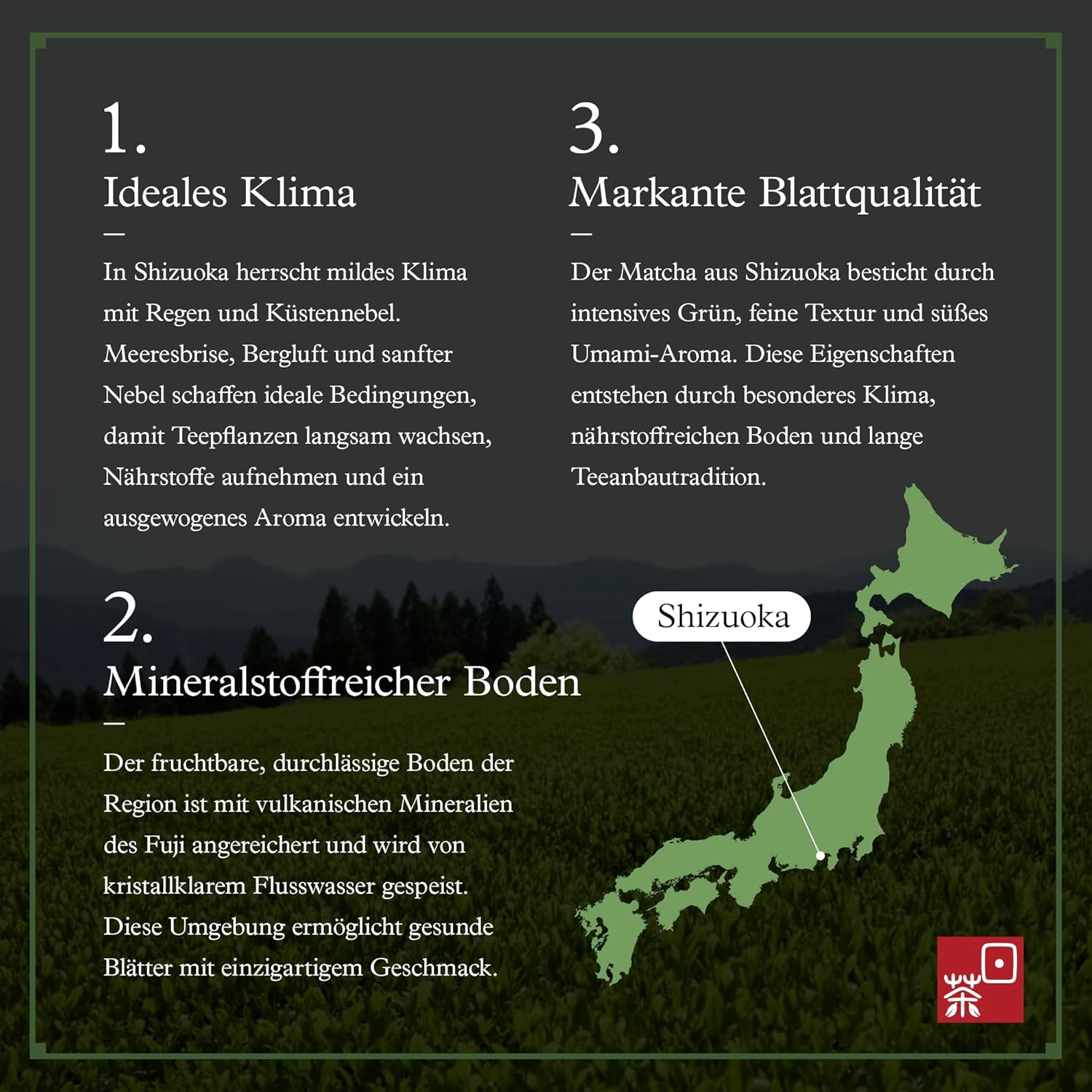 Thumbnail 3 de Ocha & Co. Itsumo Matcha „Klassische Qualität“ – japanischer Matcha der ersten Ernte, 100 g