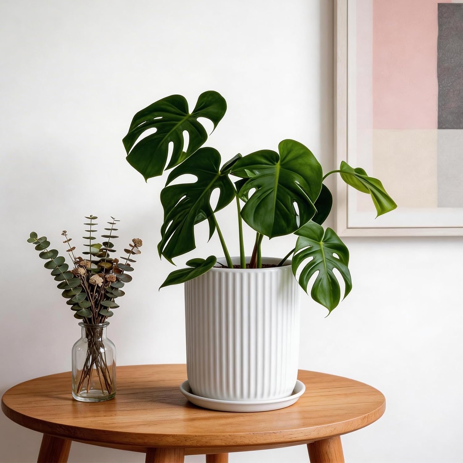 Detalle de Deep Dream STW-8in-Planters-White 8-Inch Ceramic Planter with Drainage and Saucer
