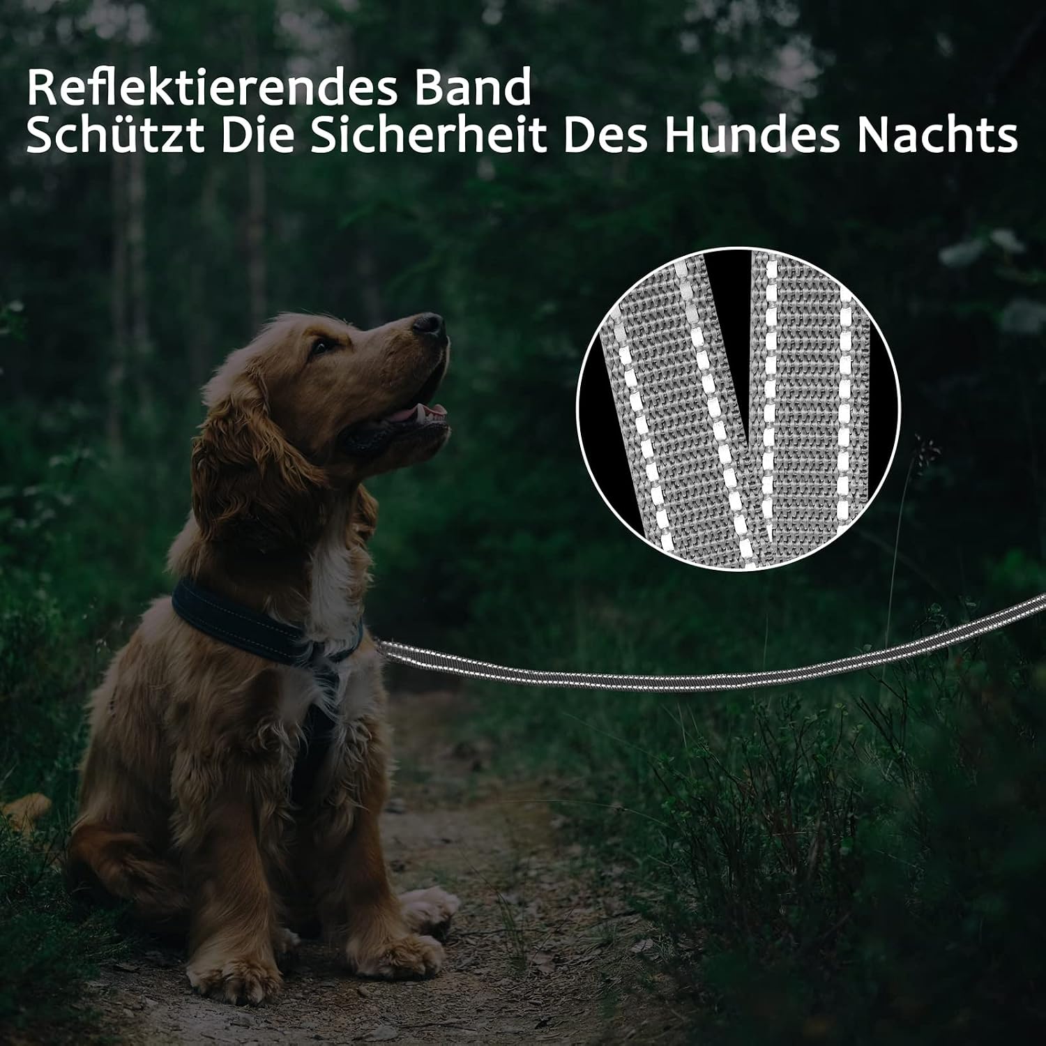 Detalle de Demigreat Schleppleine für Hunde – 3 m bis 20 m, reflektierend, gepolsterter Griff