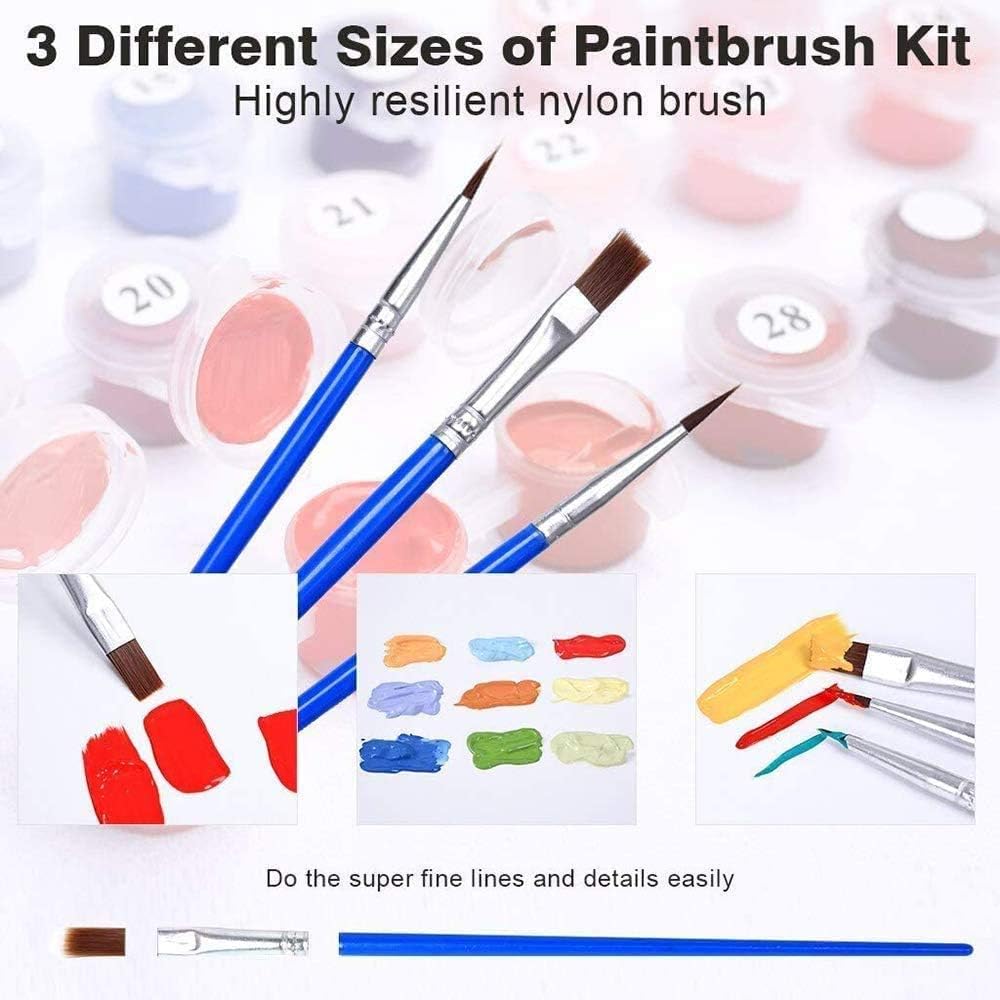 Thumbnail 4 de Painting by Number Kits for Adult 16x20 inch
