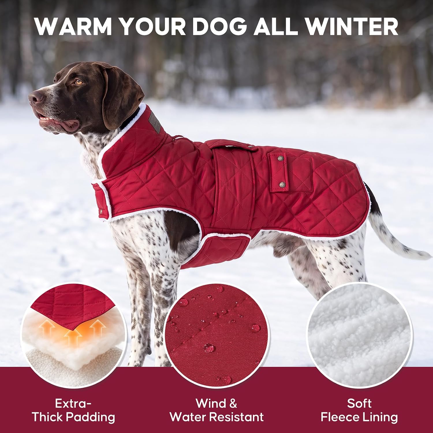Detalle 2 de KYEESE Dog Coat with Fleece Lining