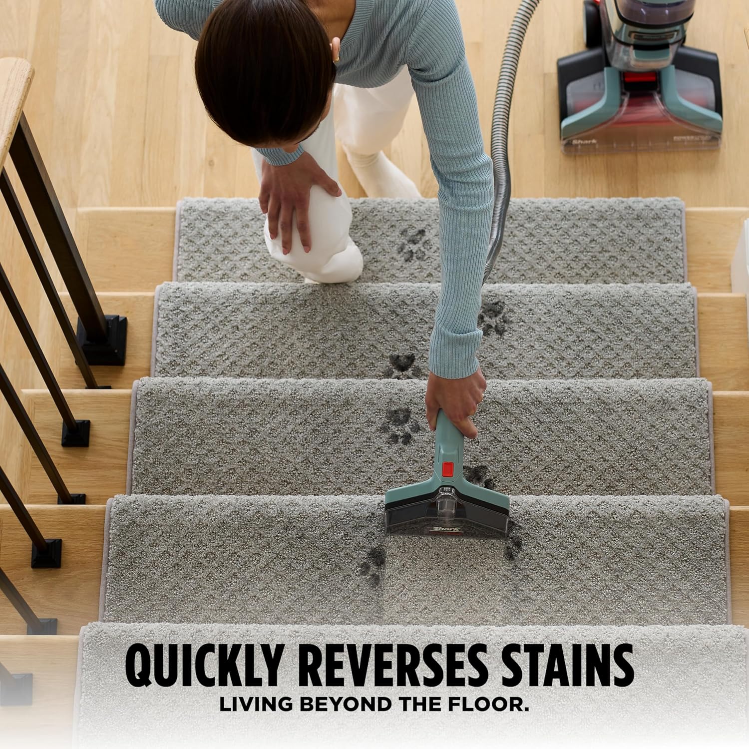 Thumbnail 6 de Shark CarpetXpert EX151 Carpet Cleaner