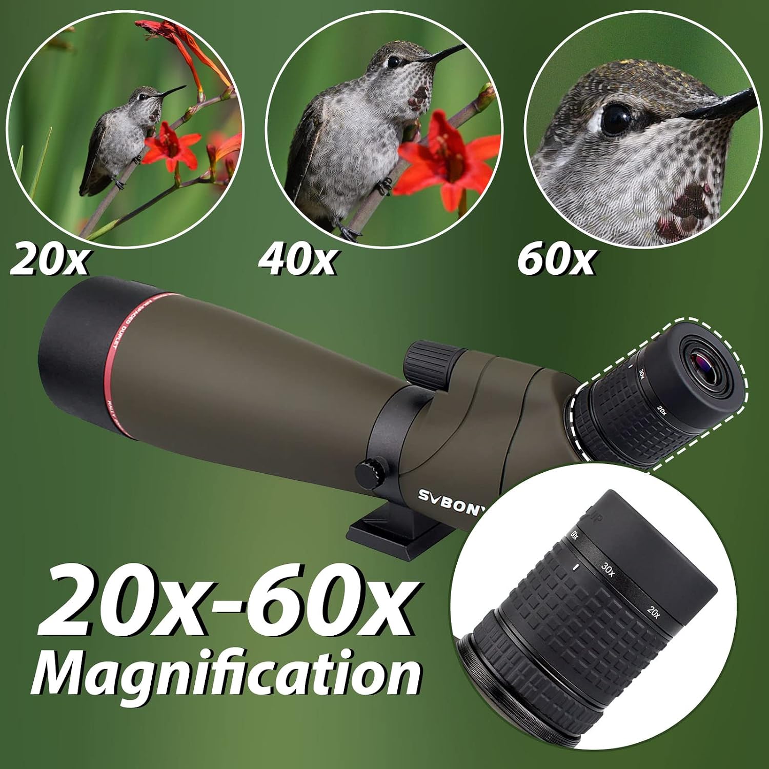 Detalle 2 de Svbony SV13 20-60x80 con treppiede da tavolo e adattatore per smartphone (IPX7) per birdwatching