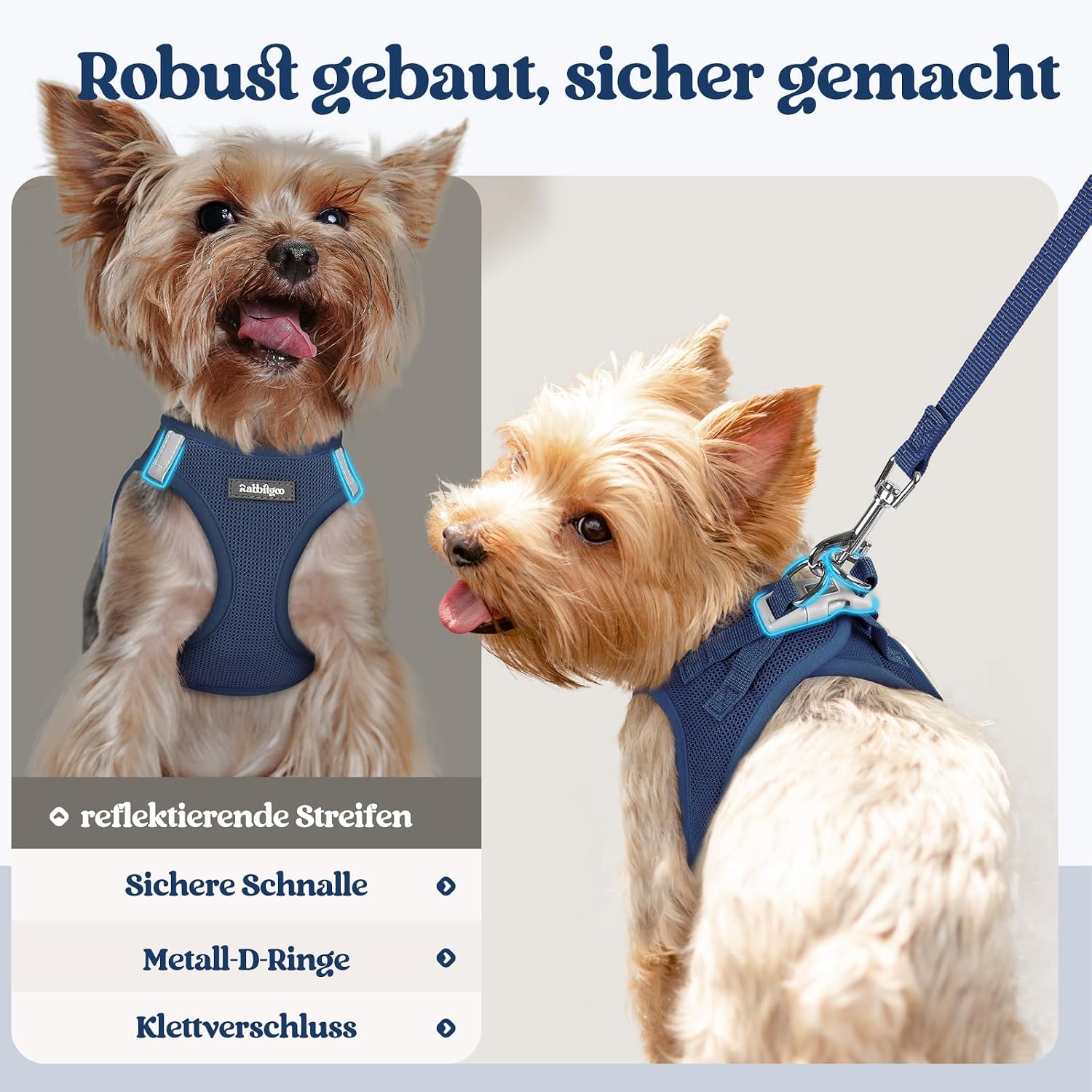 Detalle de rabbitgoo Hundegeschirr Kleine Hunde mit Leine (Step-in) – Dunkelblau, Größe S