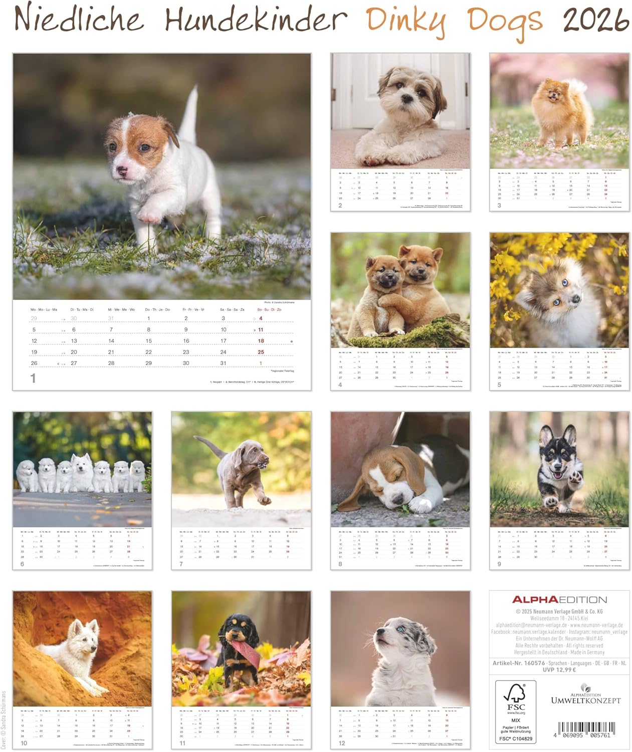 Thumbnail 1 de Alpha Edition Dinky Dogs Hundekinder-Kalender 2026 (Wandkalender 30×34 cm) mit 12 Welpenmotiven