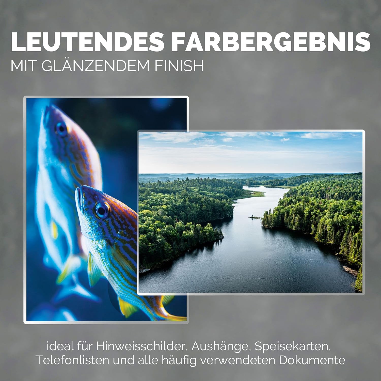 Thumbnail 5 de Fellowes A4-Laminierfolien, glänzend, 100 Blatt, 250 Mikron (2×125), Image Last Qualität – ideal für Fotos, Notizen & täglichen Gebrauch