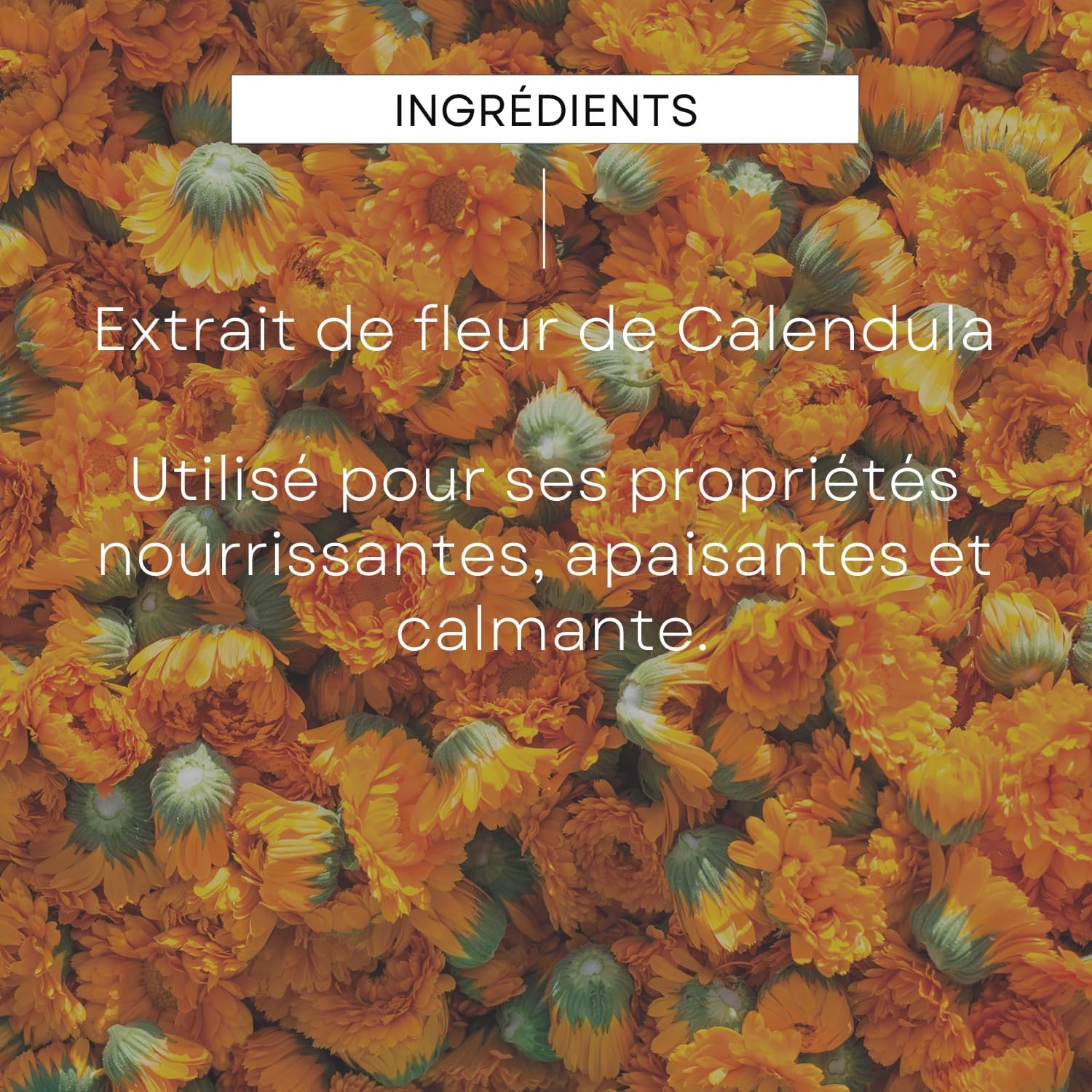 Detalle 2 de WELEDA Huile de Massage Calendula 100ml