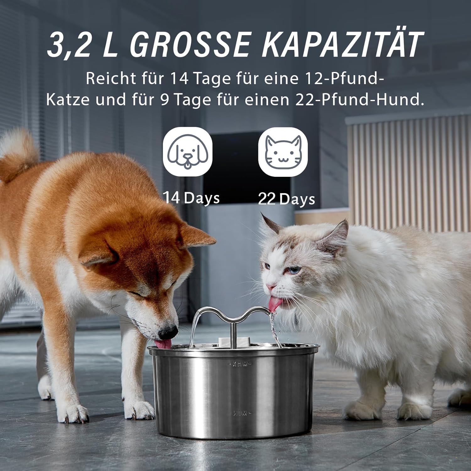 Detalle de DOOOB Katzenbrunnen Edelstahl 3,2L – leise, hygienisch und robust