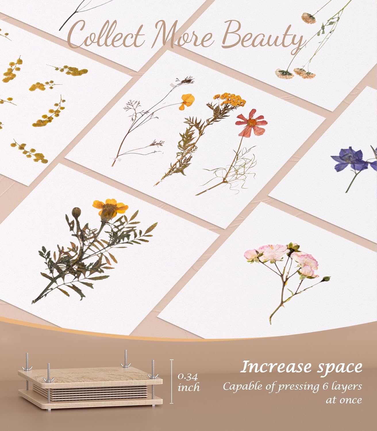 Detalle 2 de Wakhow Flower Press Kit (11" x 11") – Large Wooden Flower Presser for DIY Bouquet Preservation