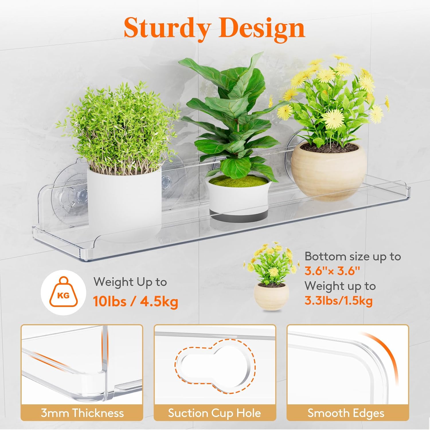 Detalle 2 de Lifewit 24126 Window Plant Shelves, 3-Pack Clear Acrylic Suction-Cup