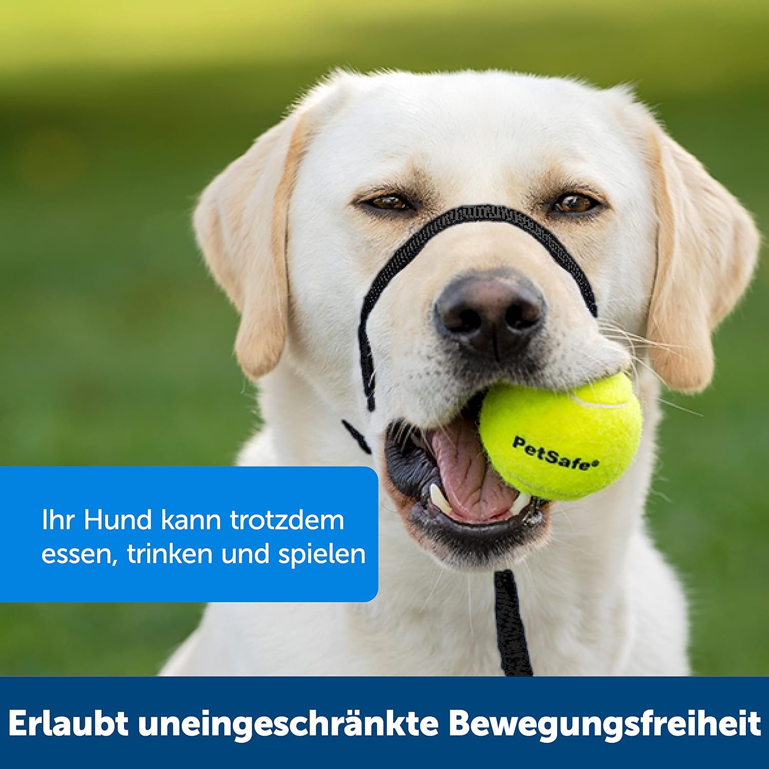 Thumbnail 1 de PetSafe Easy Walk Kopfhalfter Größe S