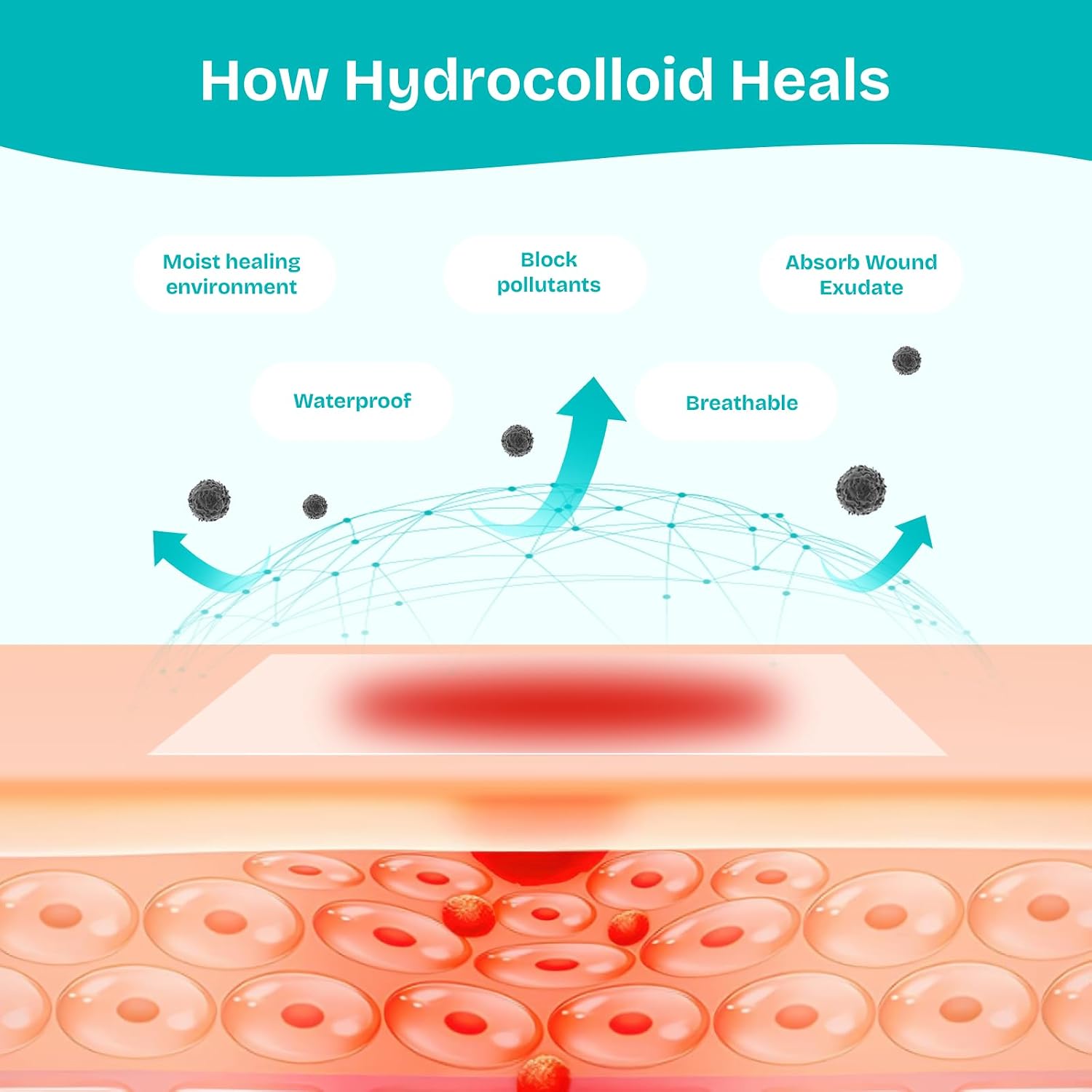 Detalle 2 de Hydrocolloid Wound Care Roll, 2 in x 16.5 ft, Waterproof Cut-to-Size Bandage