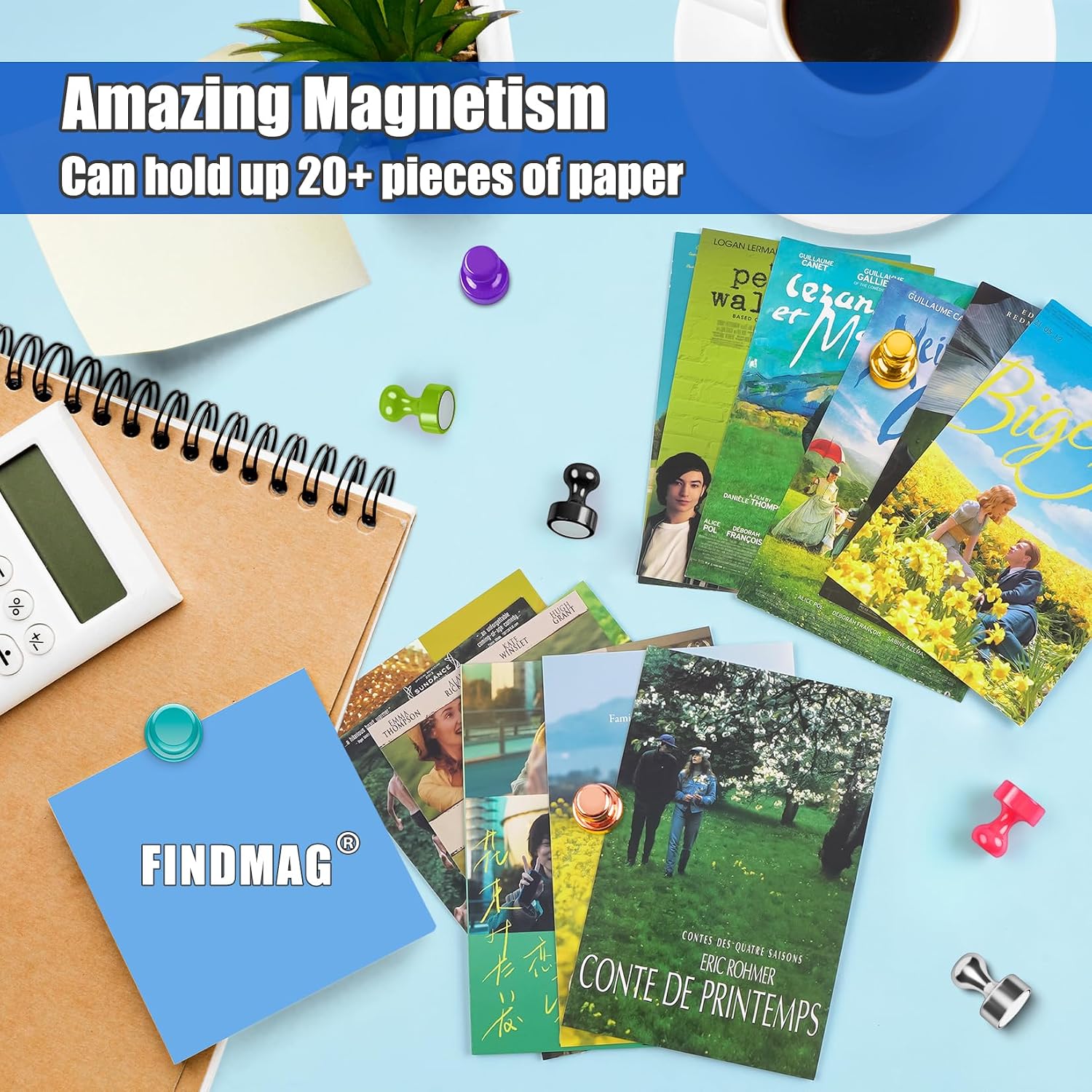 Detalle de FINDMAG 8 Colour Fridge Magnets & Magnetic Push Pins