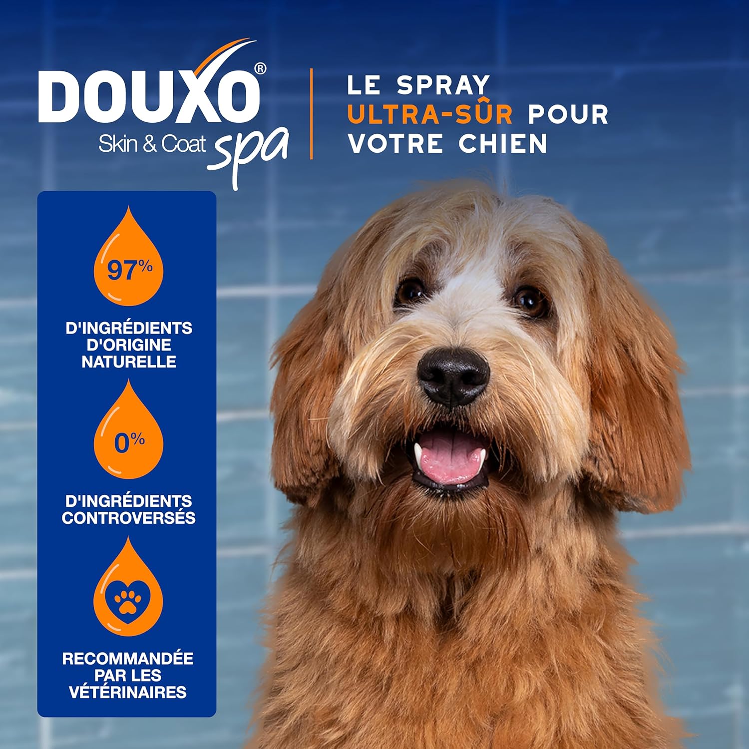 Detalle de DOUXO Skin & Coat Spa – Spray démêlant Ultra-Safe pour chiens, 340 mL