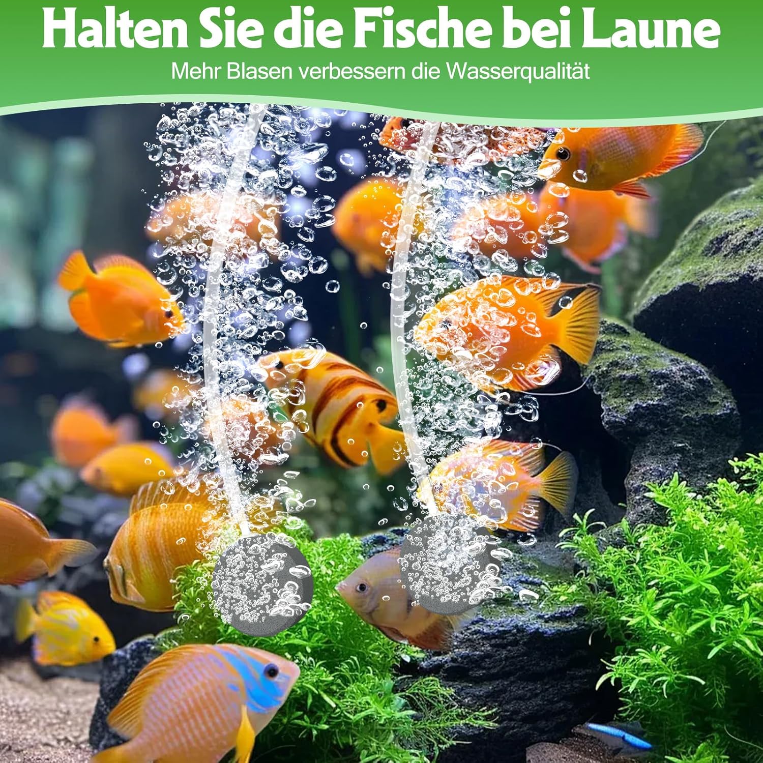Thumbnail 4 de AMZtime Solar Sauerstoffpumpe für Gartenteich – Solar Teichbelüfter mit 2200 mAh Akku