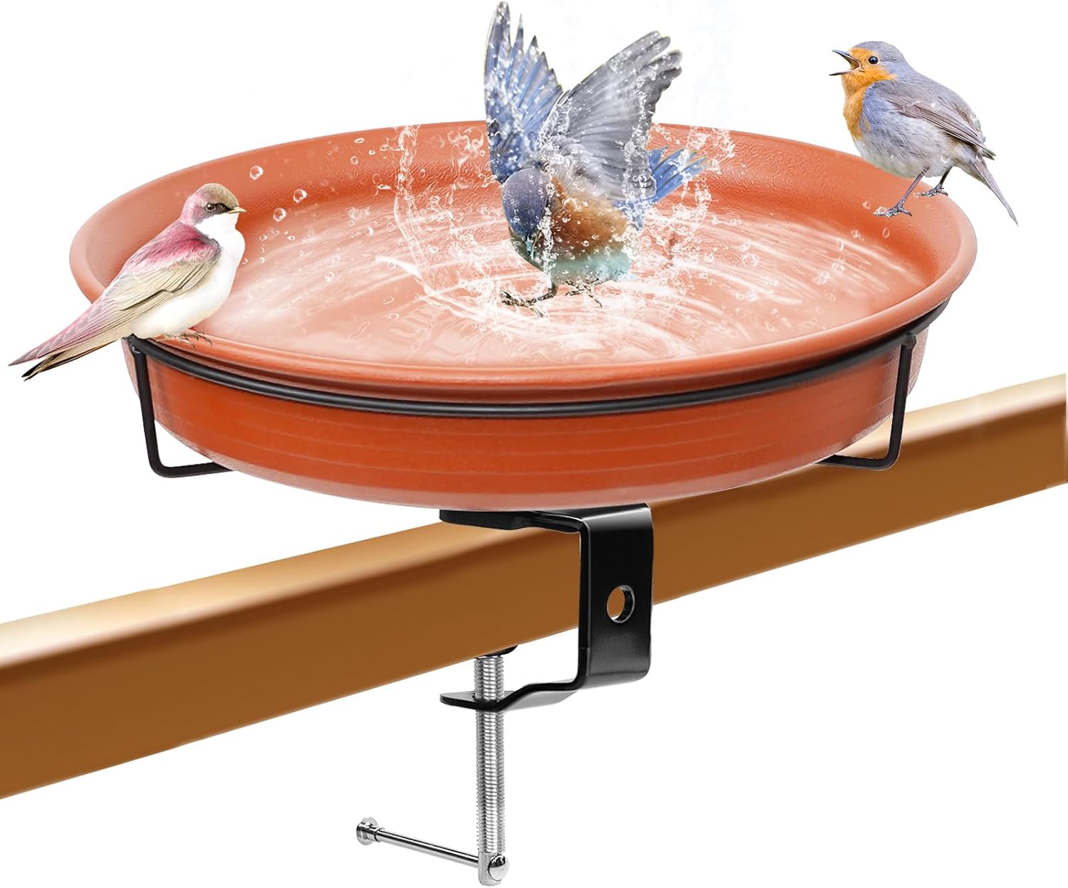 Detalle de VeyFolzin.st Bird Bath 11in Deck