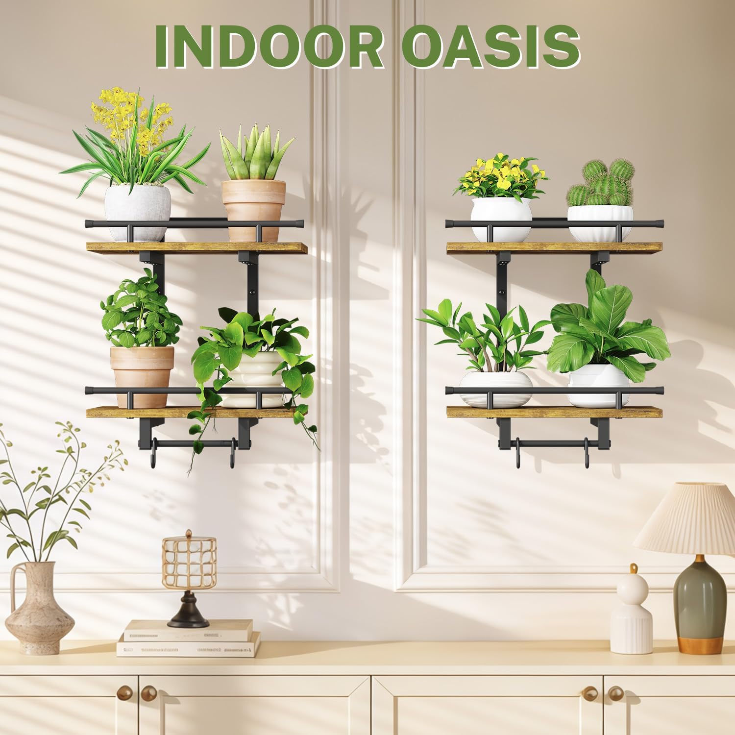 Thumbnail 6 de iDavosic.ly Wall Plant Holder