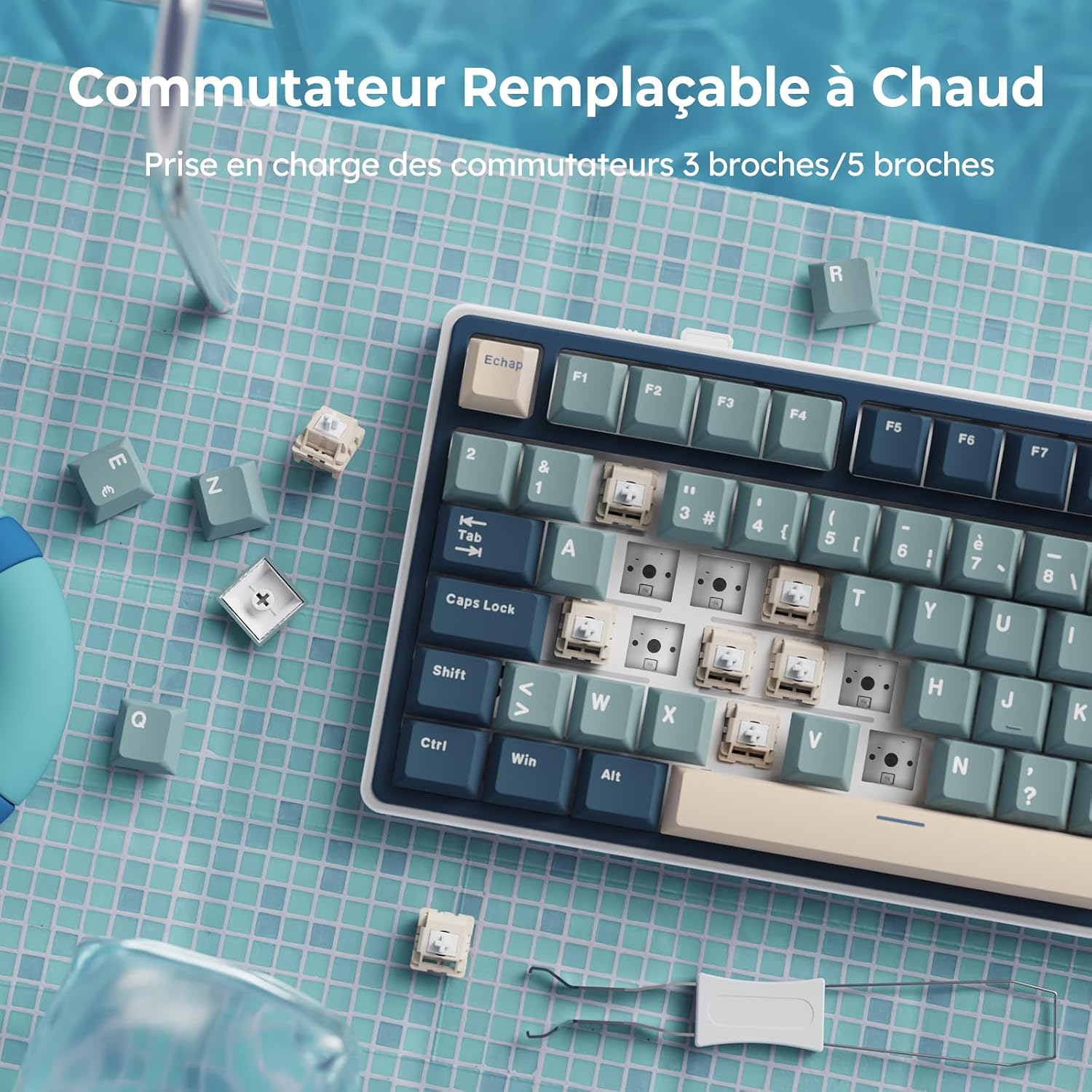 Thumbnail 4 de RK ROYAL KLUDGE R75 Clavier gamer TKL 75% 🔲