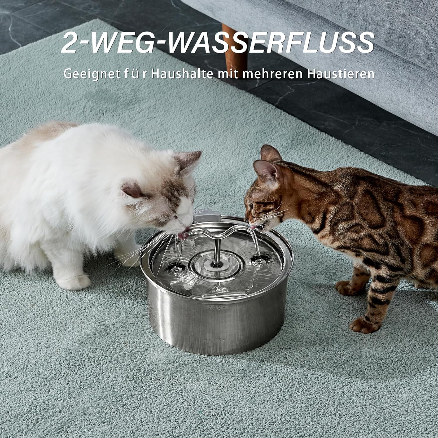 Detalle de DOOOB Katzenbrunnen Edelstahl 3,2L – leise, hygienisch und robust