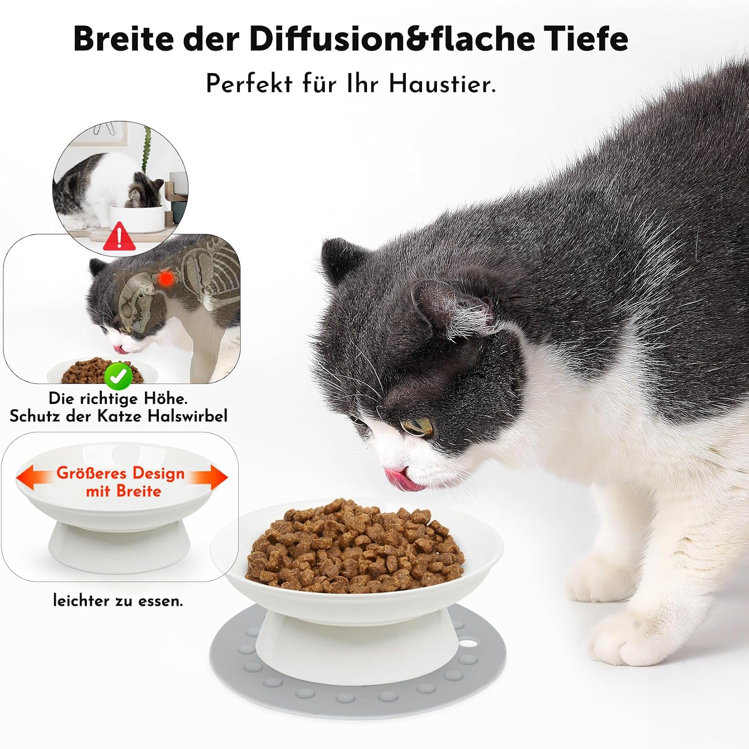 Thumbnail 2 de YIQOGAME Katzennapf-Set aus Keramik (2 Stück) mit erhöhter Bauform