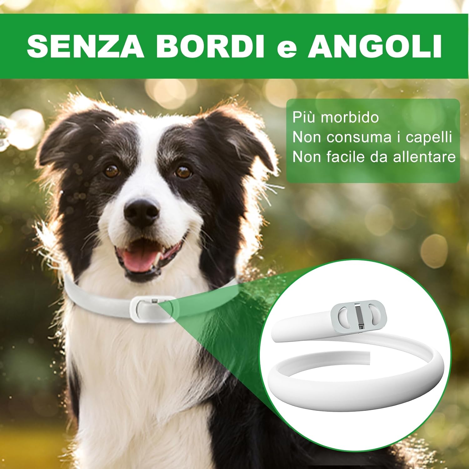 Detalle 2 de Collare antiparassitario per Cani 65 cm – protezione naturale 12 mesi, impermeabile e regolabile