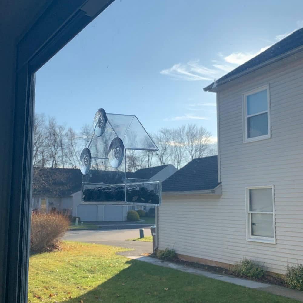 Detalle 2 de Bird Feeder Birds House Window Suction Cup 🐦